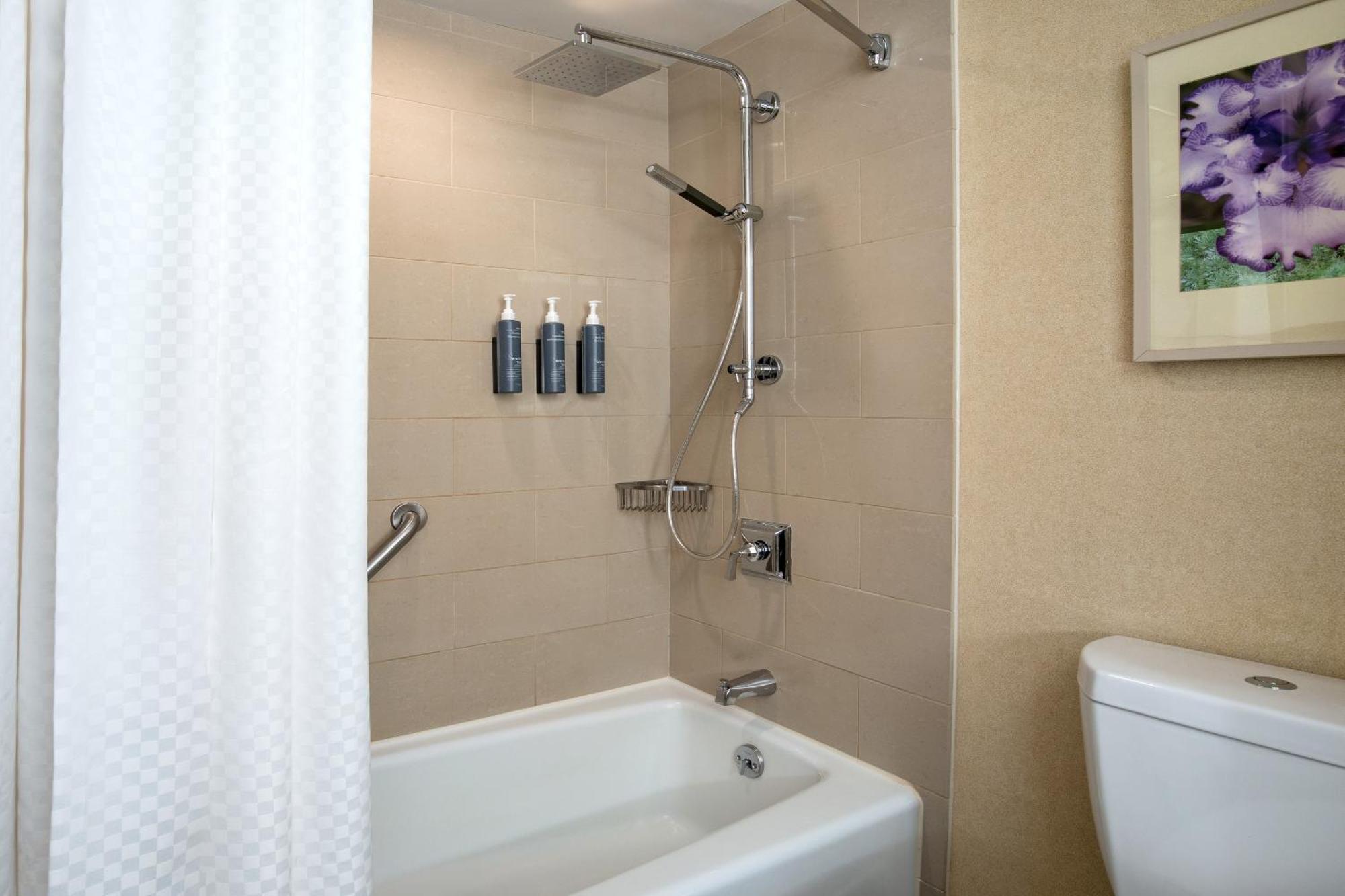 Traditional Guest room 1 King