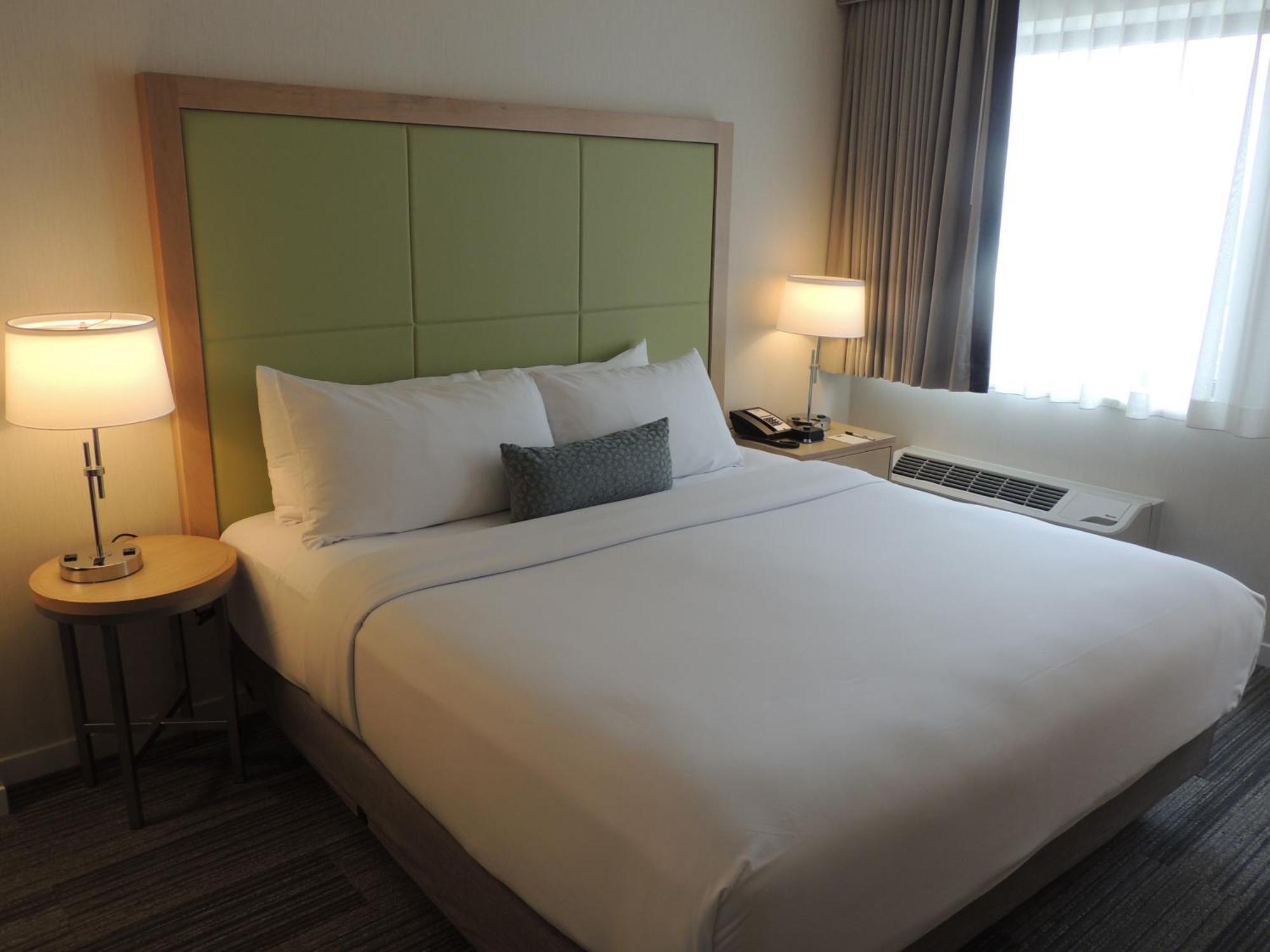ADA Queen or King Room Roll Shower,835512143:JPEG
