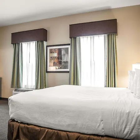 Envision Hotel Boston-Longwood, Ascend Hotel Collection-3